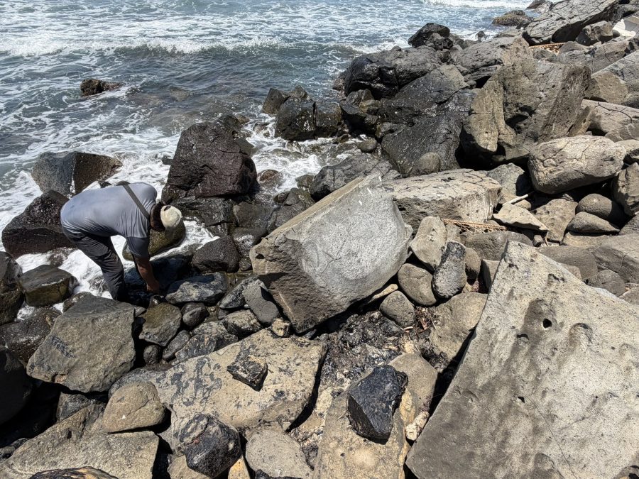 Las playas de Veracruz muestran rastros de hidrocarburos que impiden las labores habituales de captura y comercialización de mariscos.