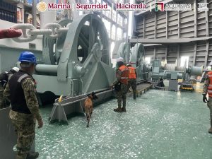 Las corporaciones federales coordinaron la inspección de los contenedores donde se ocultaba la droga proveniente del extranjero.