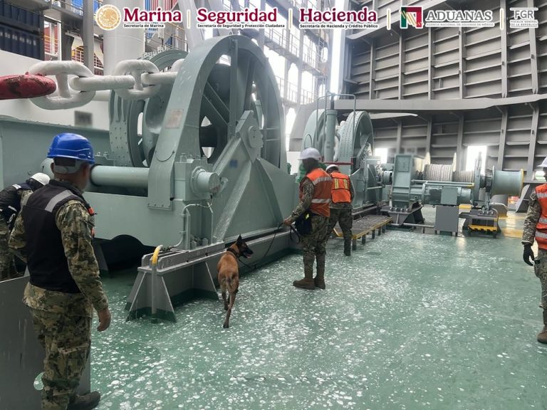 Las corporaciones federales coordinaron la inspección de los contenedores donde se ocultaba la droga proveniente del extranjero.