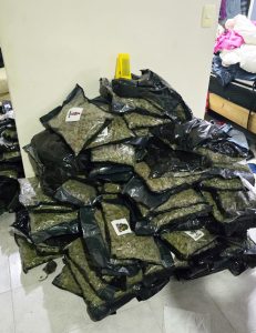 Las fuerzas armadas custodiaron el perímetro del fraccionamiento para garantizar la seguridad de los peritos ministeriales.