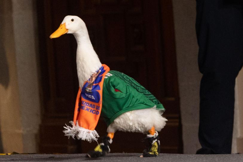 El IMPI resolverá la polémica disputa legal para definir quién será el dueño de El Pato Merlín.