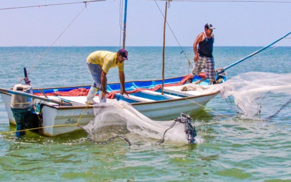 Cooperativas del sur de Veracruz recurrieron al Poder Judicial de la Federación para rescatar la actividad pesquera en el Golfo de la contaminación.