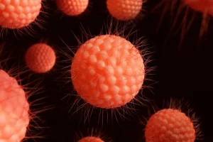 Alerta de viaje a EE.UU. por brote de ciclosporiasis