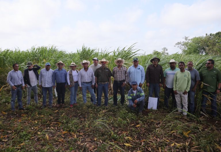 El Gobierno del Estado destinó 6 millones de pesos para apoyar la producción cañera en la zona sur.