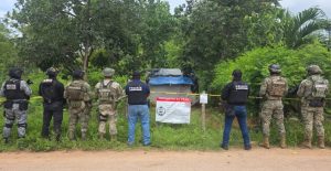 Las fuerzas armadas custodiaron el perímetro durante el cumplimiento de las órdenes de cateo en Quintana Roo.