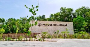 Conflictos en el Parque del Jaguar: Despidos masivos y denuncias marcan salida de director