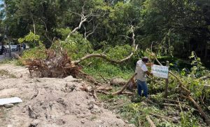 Inspectores del Ayuntamiento colocaron sellos de clausura en la obra ubicada sobre la avenida Costera de Bacalar debido a las irregularidades.