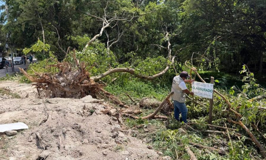 Inspectores del Ayuntamiento colocaron sellos de clausura en la obra ubicada sobre la avenida Costera de Bacalar debido a las irregularidades.