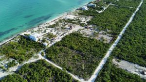Los terrenos en disputa legal se ubican sobre la carretera federal 307 en una zona de alta plusvalía de la Riviera Maya.