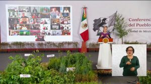 Quintana Roo participará activamente en las acciones coordinadas de la Jornada Nacional de Reforestación 2026.