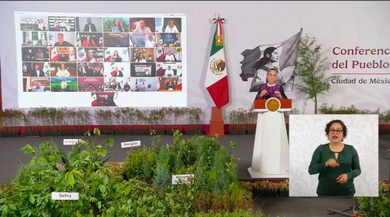 Quintana Roo participará activamente en las acciones coordinadas de la Jornada Nacional de Reforestación 2026.