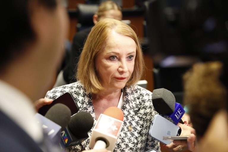 Laura Itzel Castillo emitió anuncios sobre el proceso interno parlamentario durante una conferencia de prensa en el recinto legislativo.