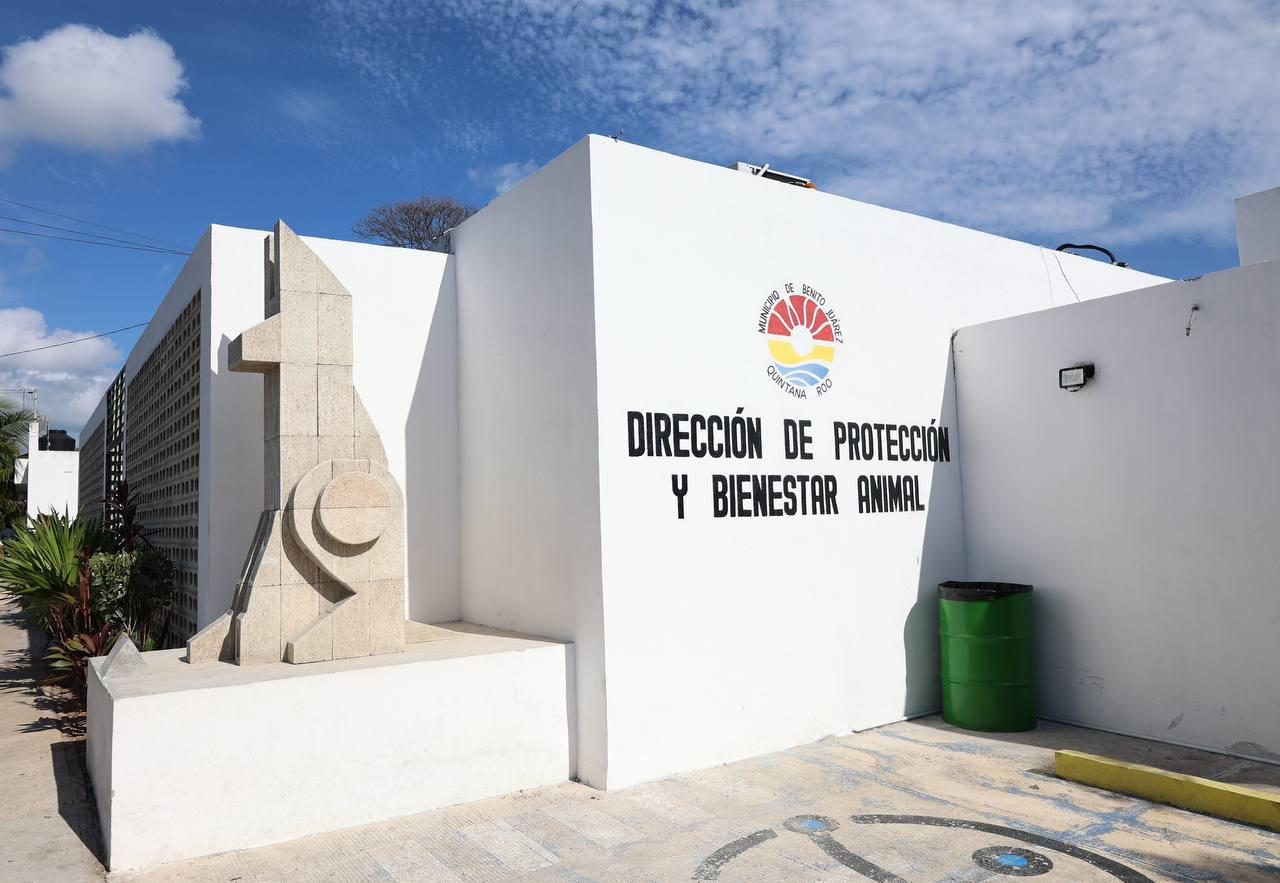 Actividades operativas en el Centro de Bienestar Animal de Cancún registran críticas por falta de especialistas.