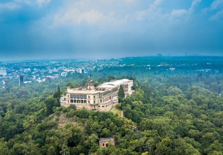 Vista general de las áreas arboladas en la primera sección del Bosque de Chapultepec.