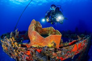 Autoridades refuerzan atención a turistas para el buceo en Quintana Roo