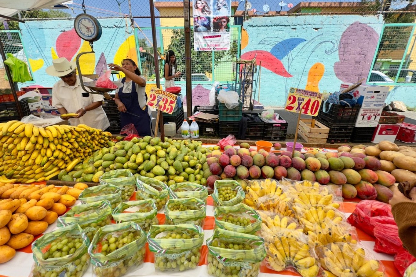 Mercados locales y centros de abasto registran variaciones en los costos de frutas y verduras durante septiembre.