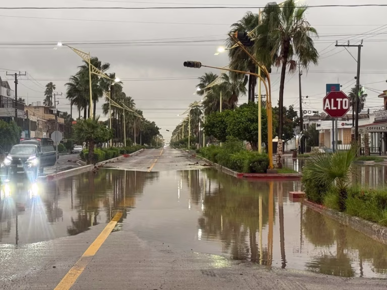 Zonas costeras de Baja California Sur que resintieron los efectos severos del huracán Polo durante su impacto.