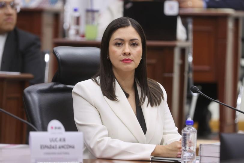 Blanca Yassahara Cruz García fue elegida consejera presidenta provisional del Instituto Nacional Electoral.