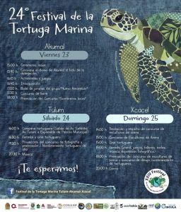 Akumal abrirá el Festival de la Tortuga Marina este viernes 23 de octubre con ceremonias, caravanas y actividades culturales.